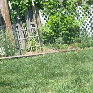 Meet your Posher, Bobby